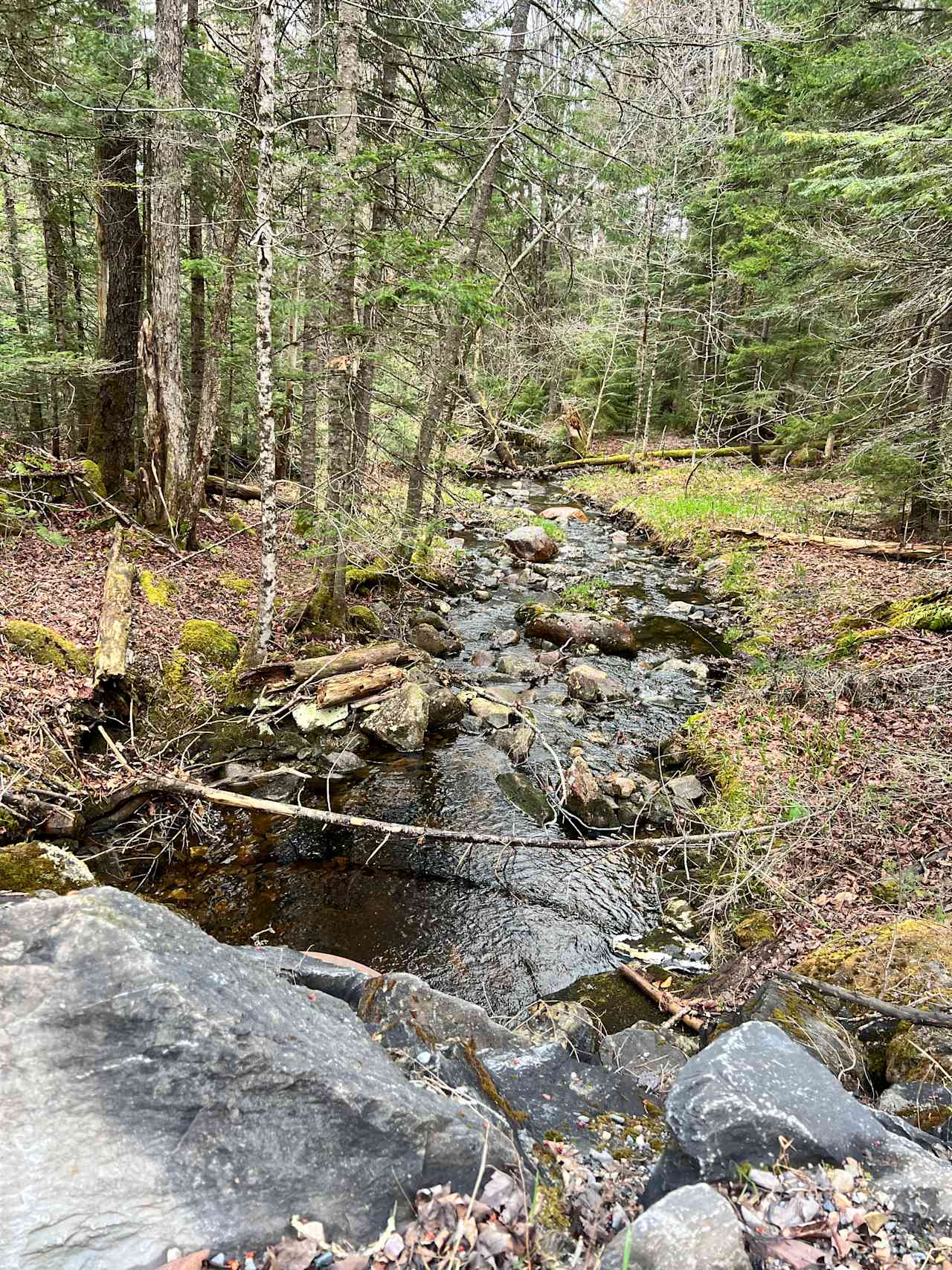 Grateful Acres Vermont
