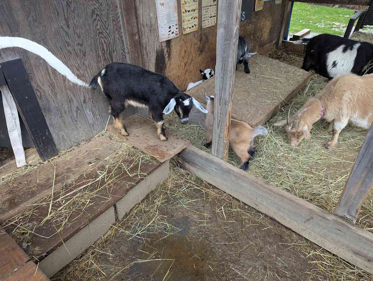 Goat Farm Hide-Away CVNP