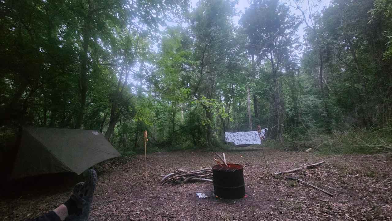 Hammock in the new nodded site