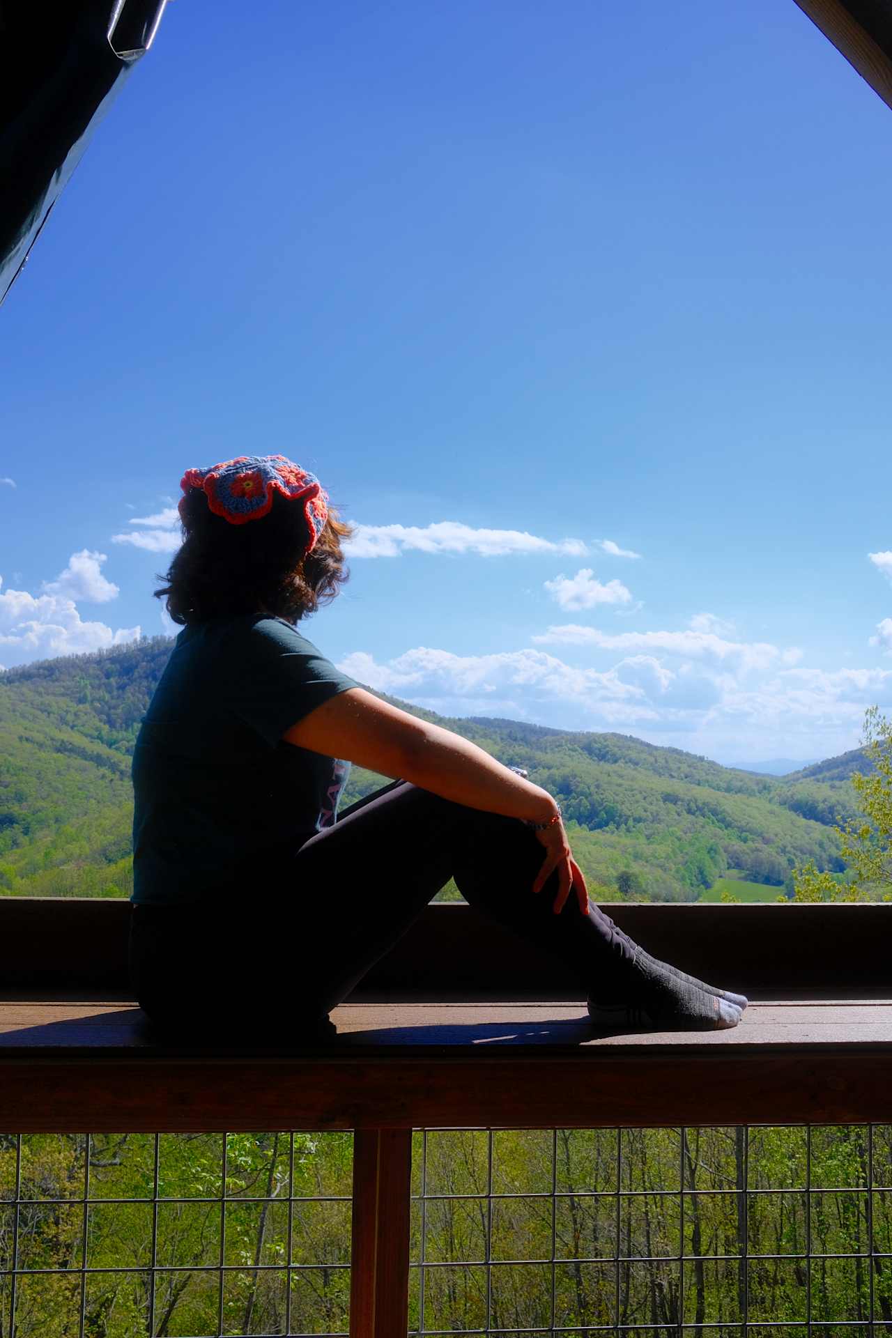 Above the Fray Glamping, Black Mtn.