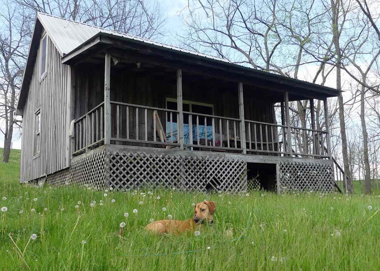 Relaxing at the cabin