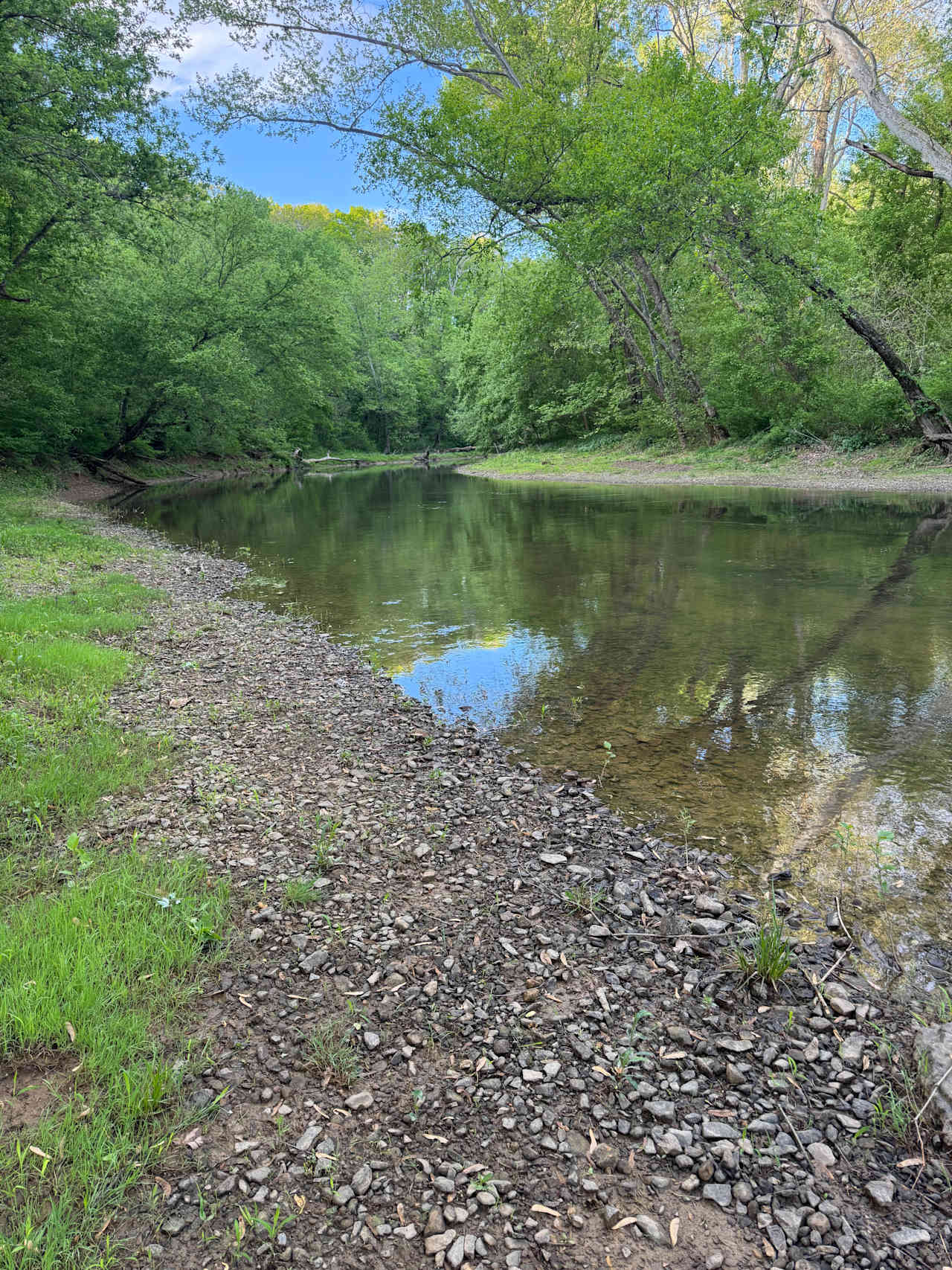 Eagle Ridge On Back Creek