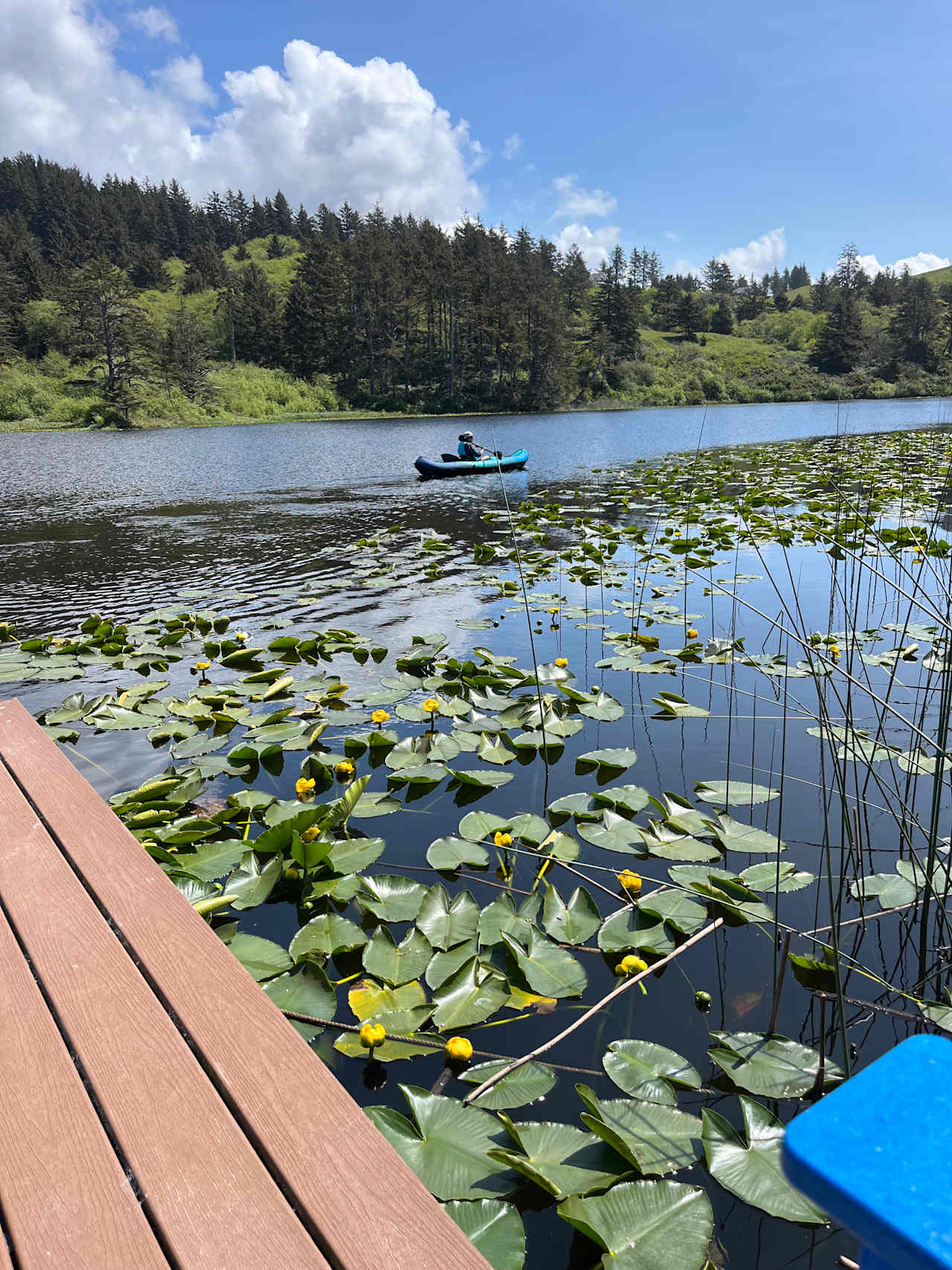 The Lake Pasture