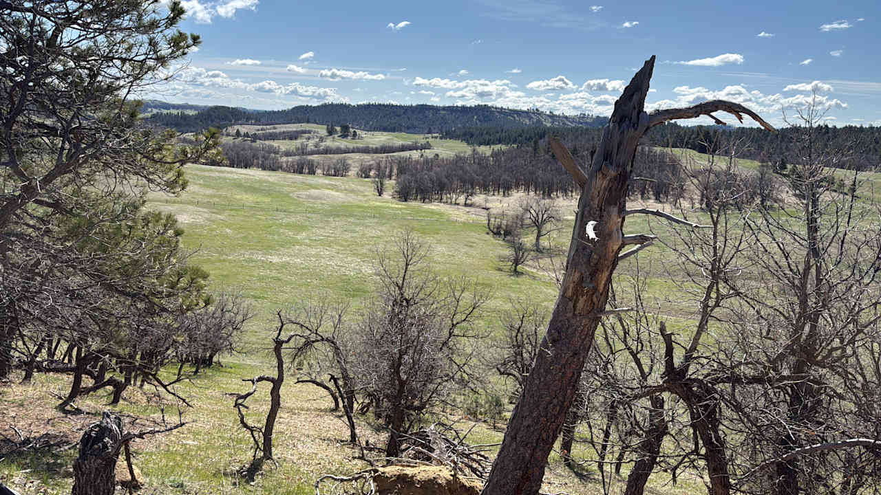 Hidden Acres