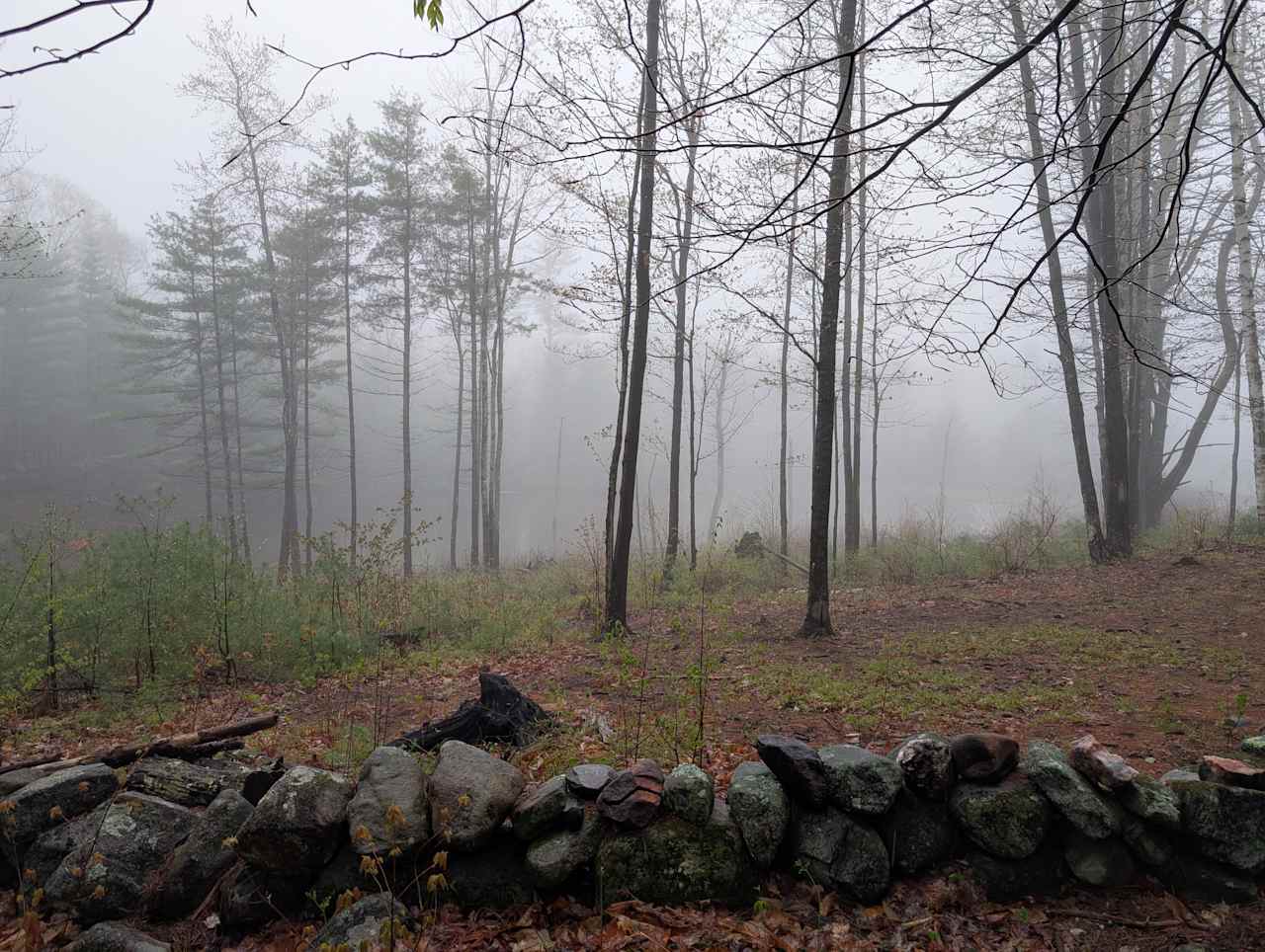 Deep Woods Hideaway