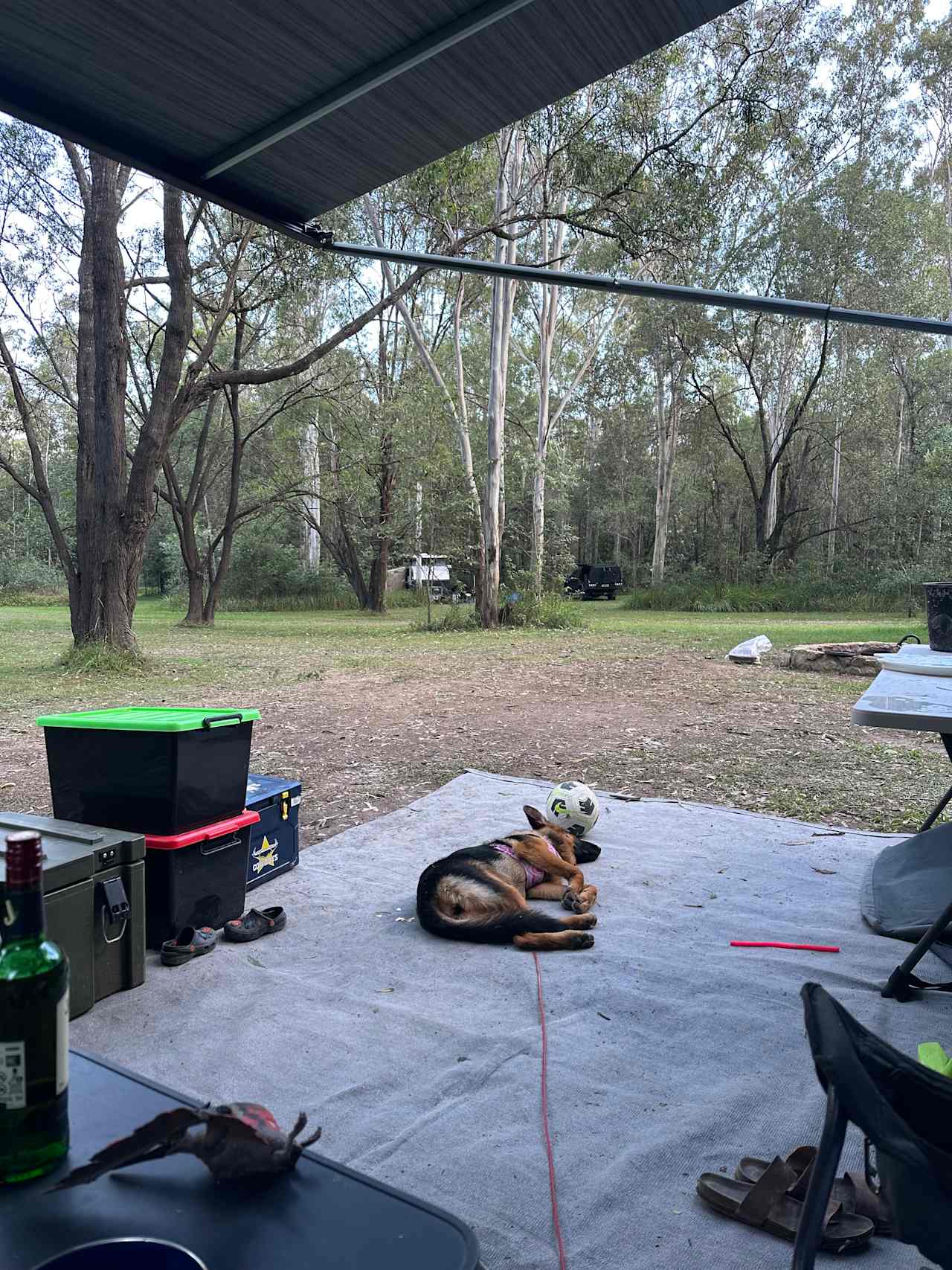 Hidden Creek Farm Qld