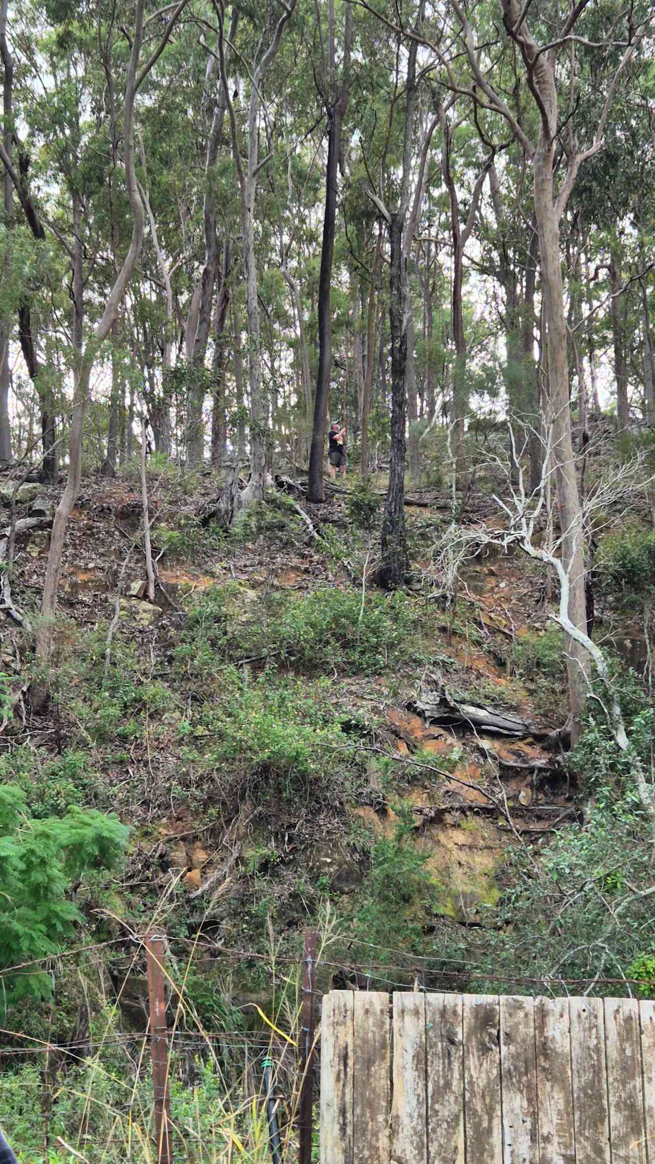Cliff face, one view from camp