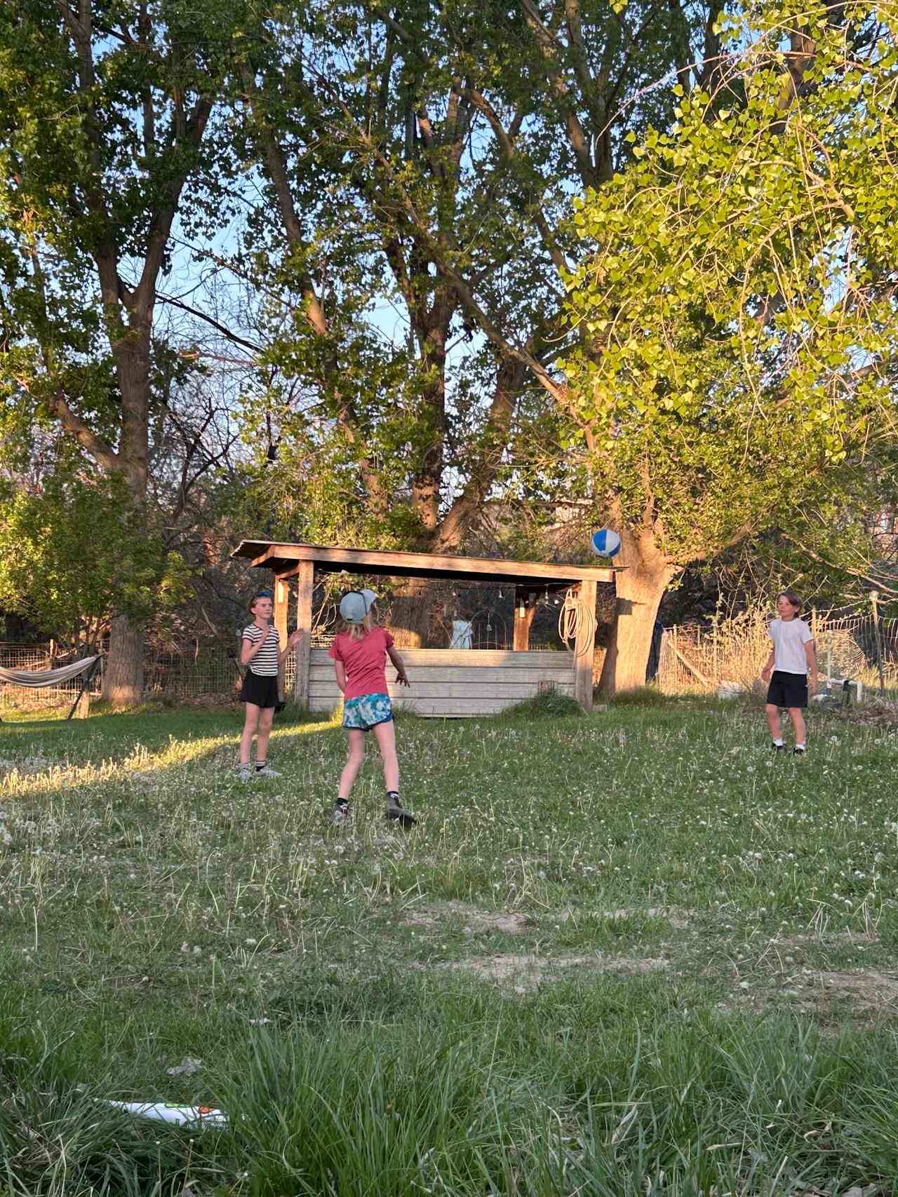 Micone Ranch
