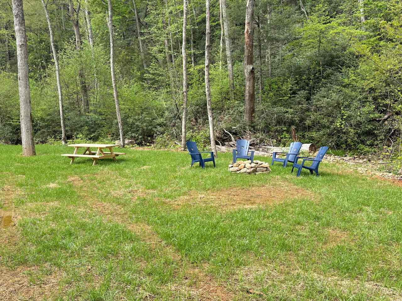 Camp Cressy Creek
