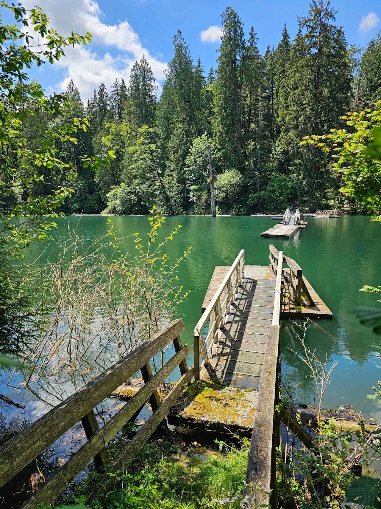 Hayward Trails Camping
