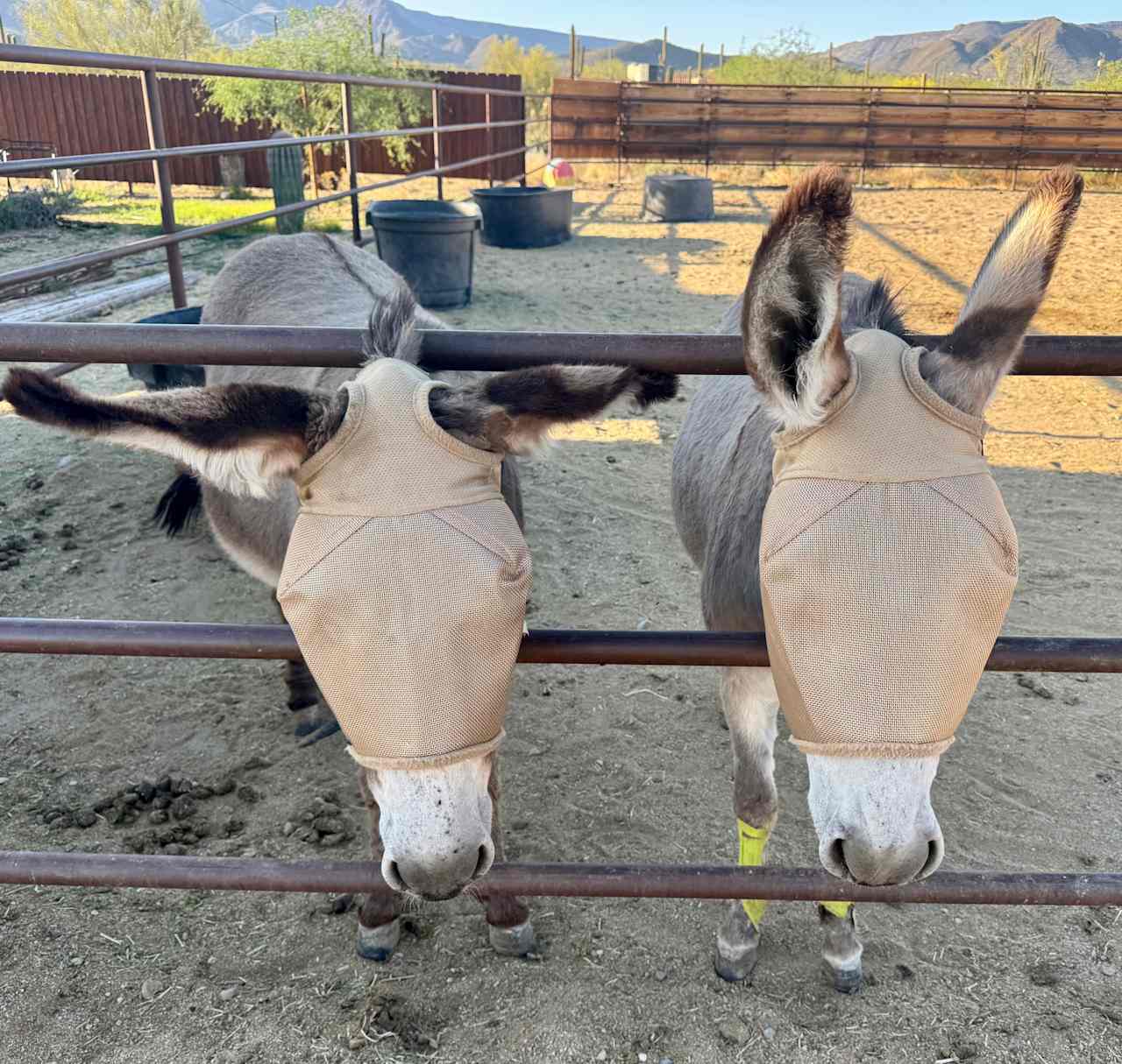 Marguerita Ranch
