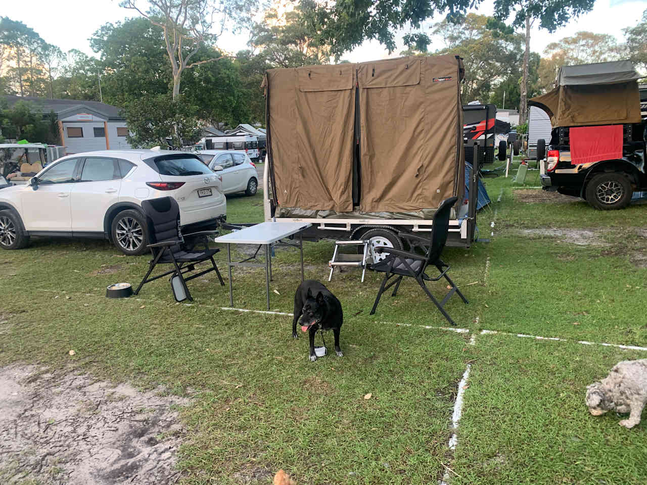 Pet friendly... we have 3 dogs