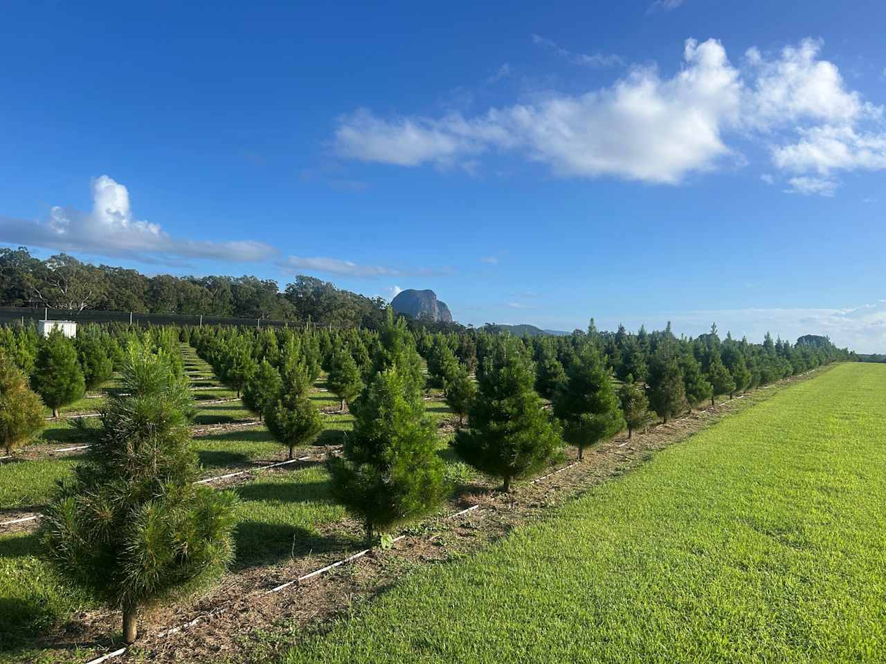 Mountain Country Farm Stay