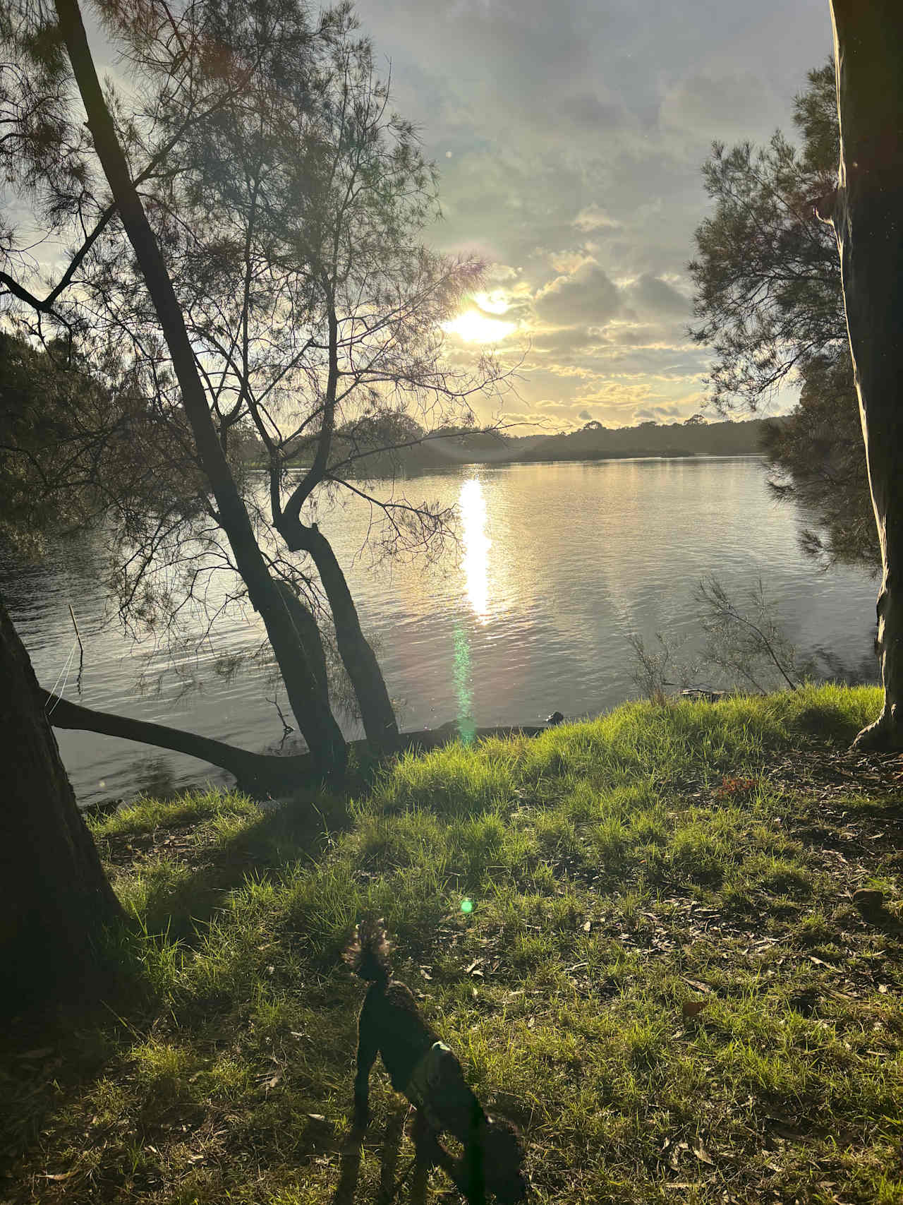 Sunrise from other side on our morning walk. 
