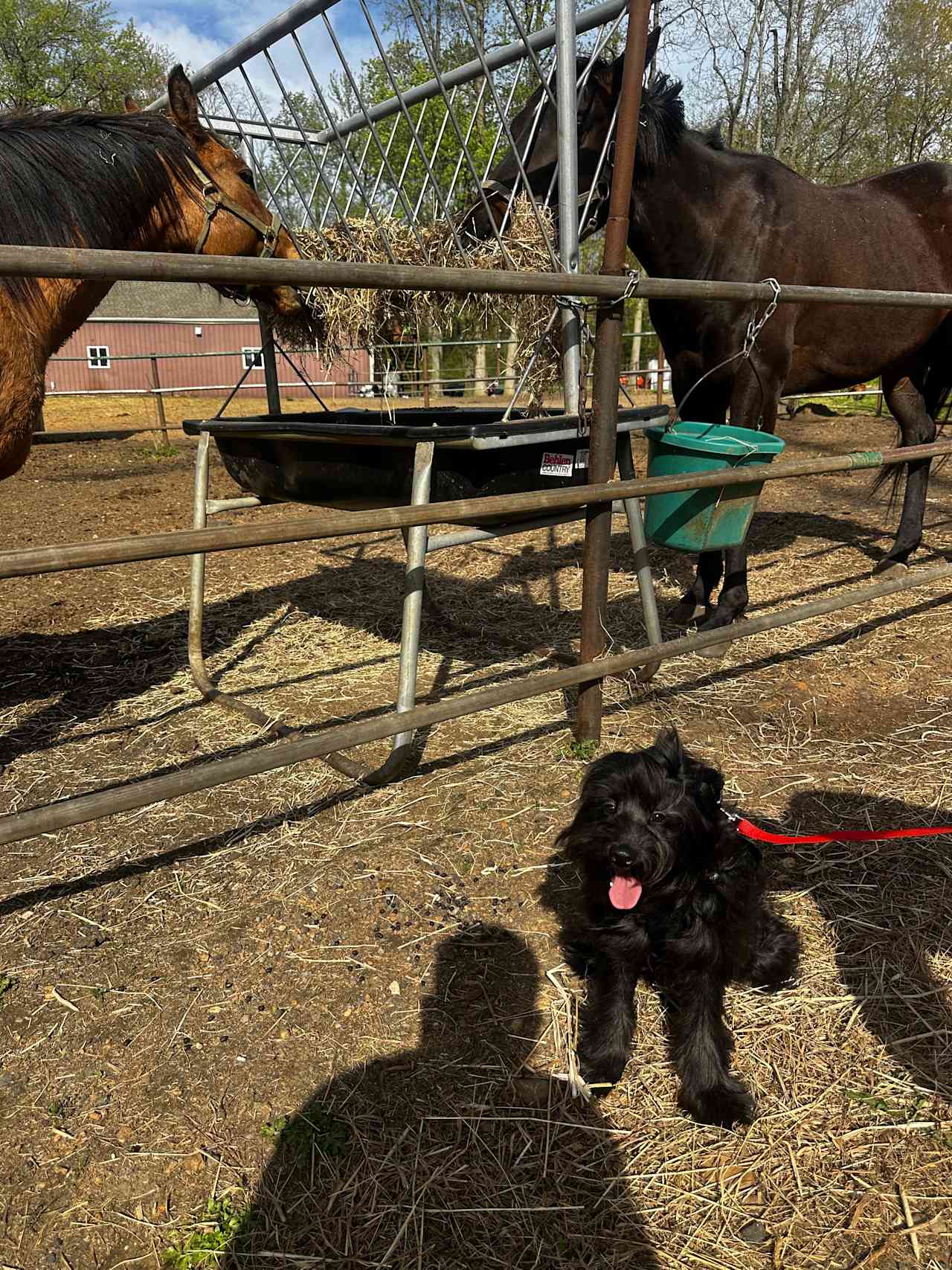 Horse Farm Camping