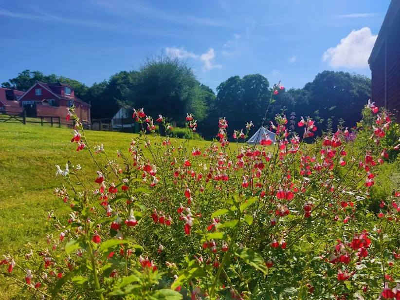 Oak Valley Lodges & Camping