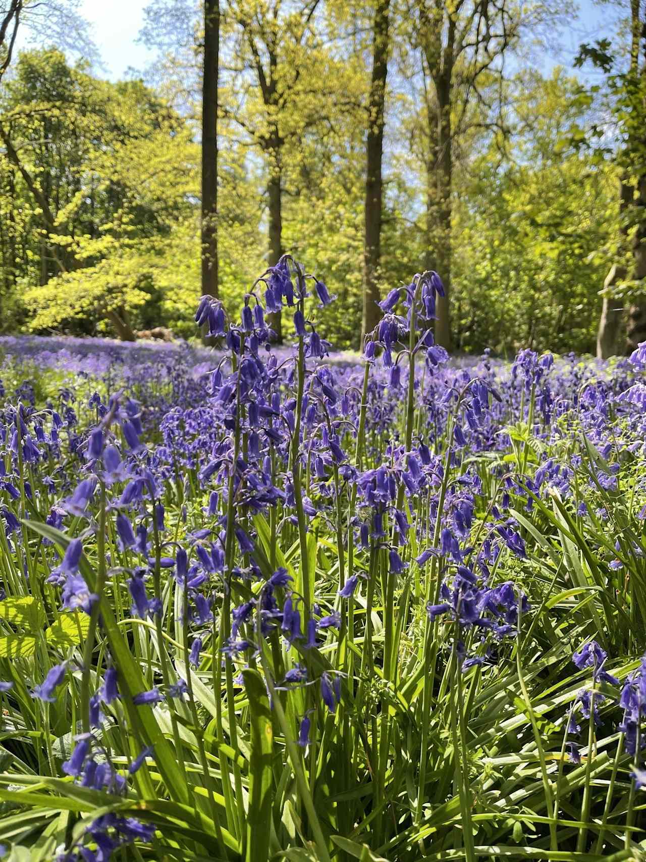 Oak Valley Lodges & Camping