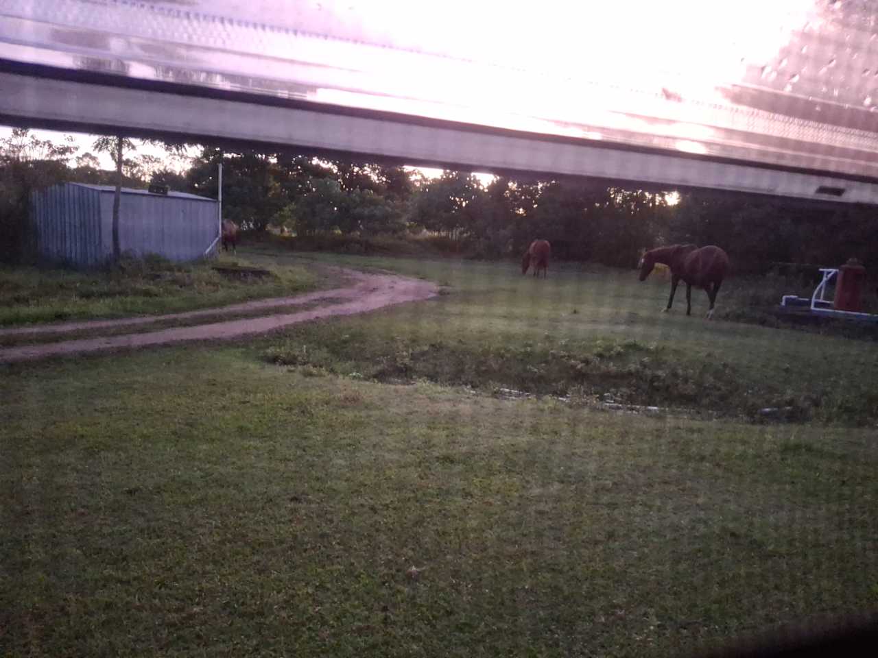 Wild Horse Retreat