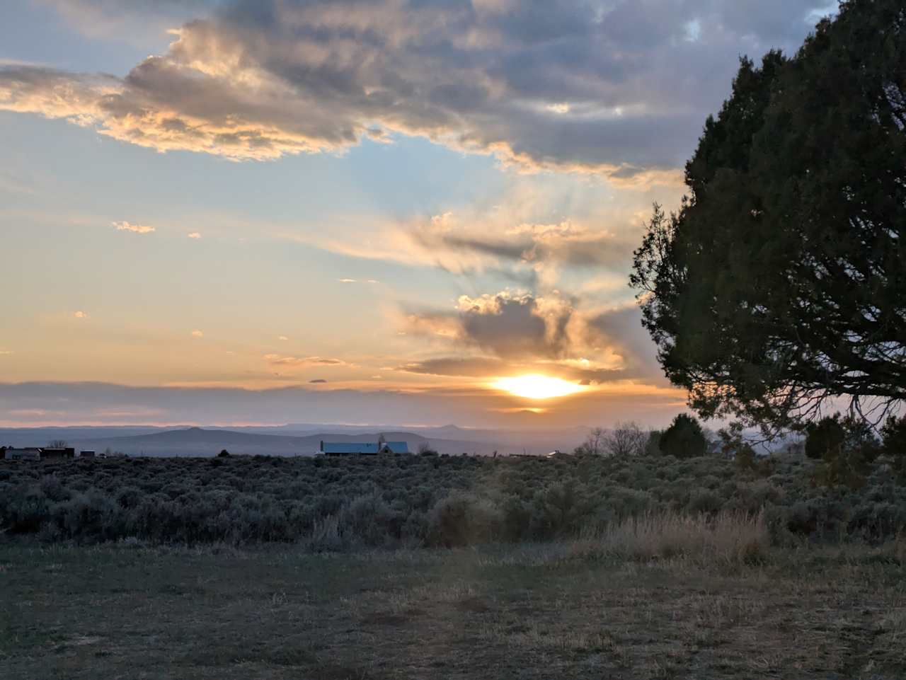 Dragonfly Mountain Ranch