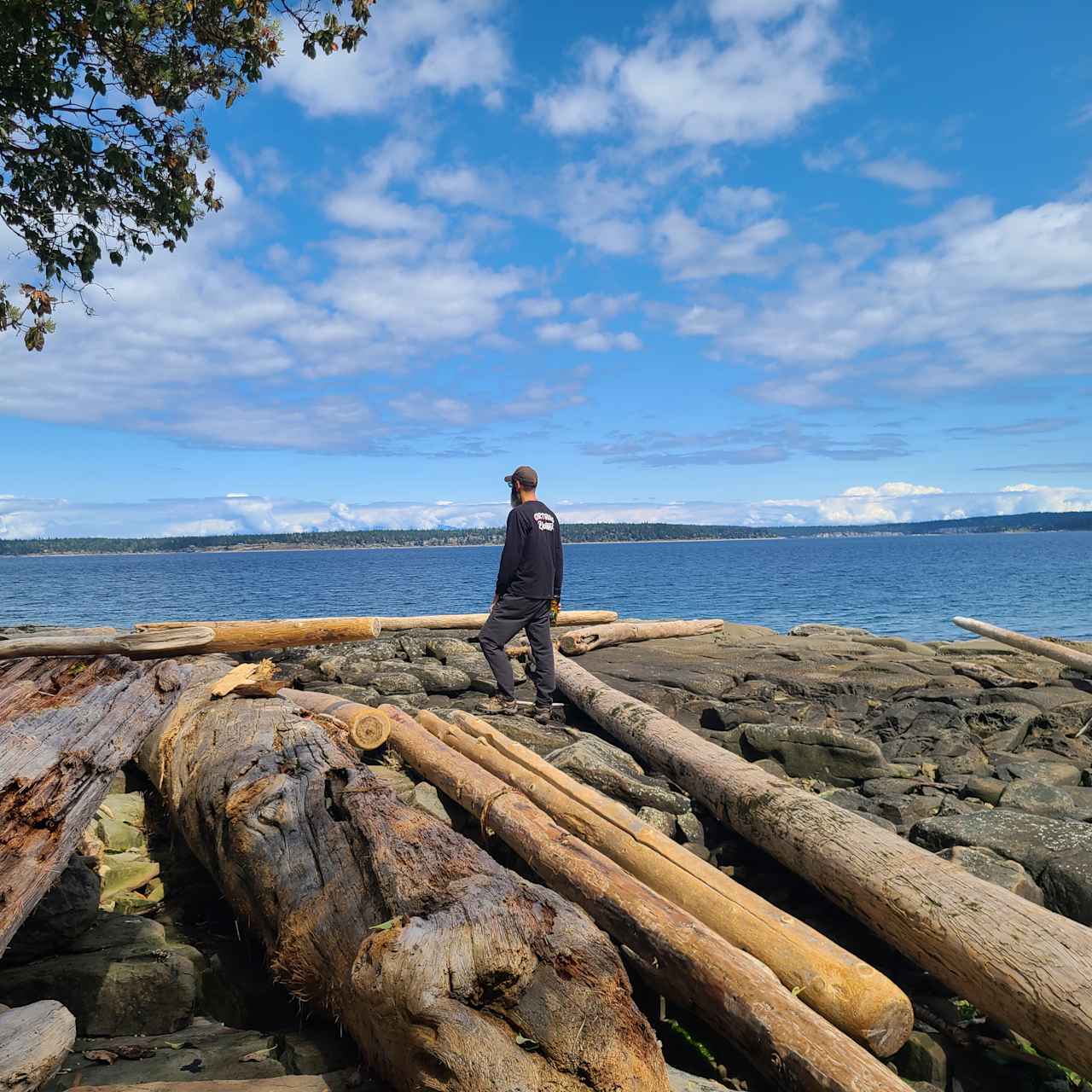 Hiking trails to the waterfront 