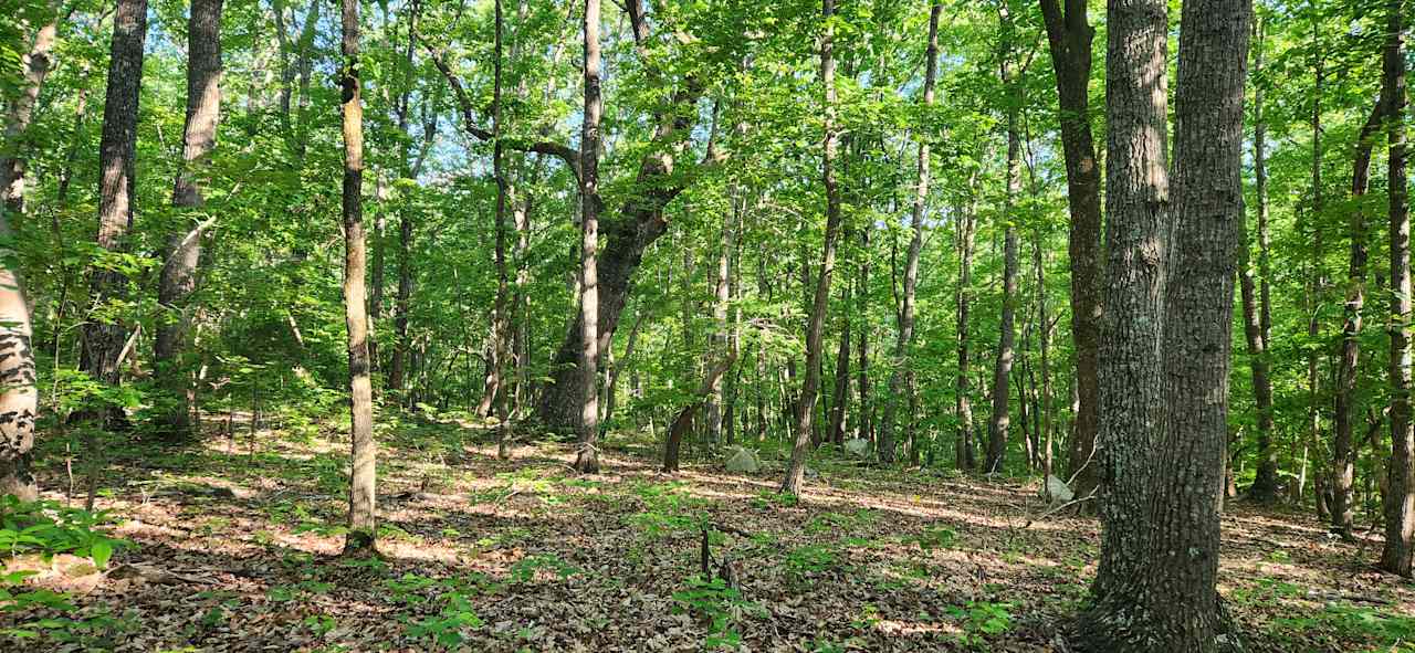 Parkers' Glen