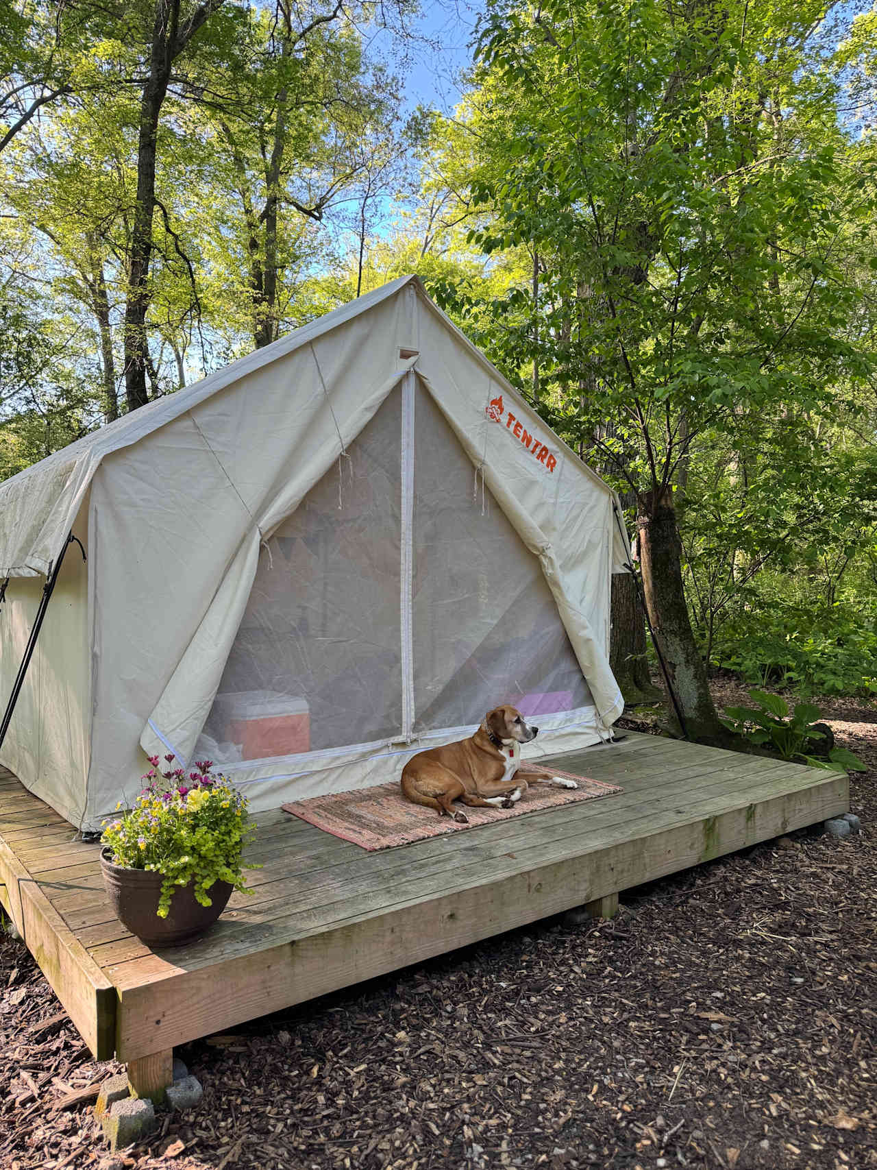 Conowingo Creek Campsite