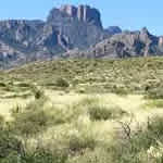 Fort Stockton RV Park