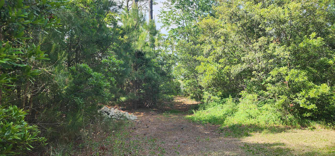 The marsh line lot