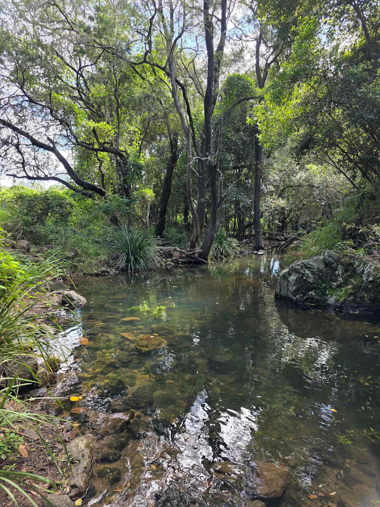 Hopevale Adventure Camping