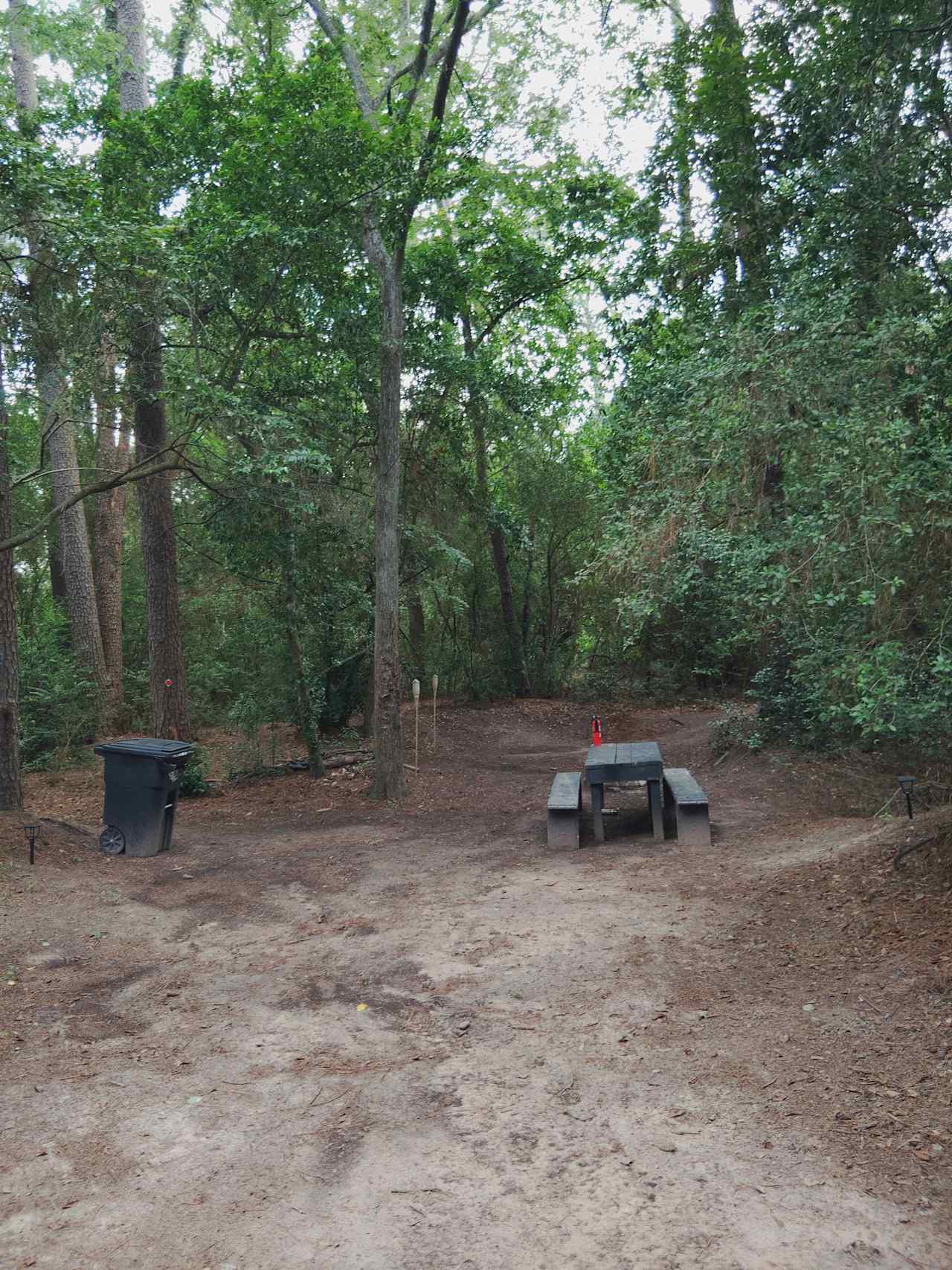 A spacious clearing with room to set up a tent or park a vehicle, offering flexibility for different camping styles—all surrounded by peaceful woodland.