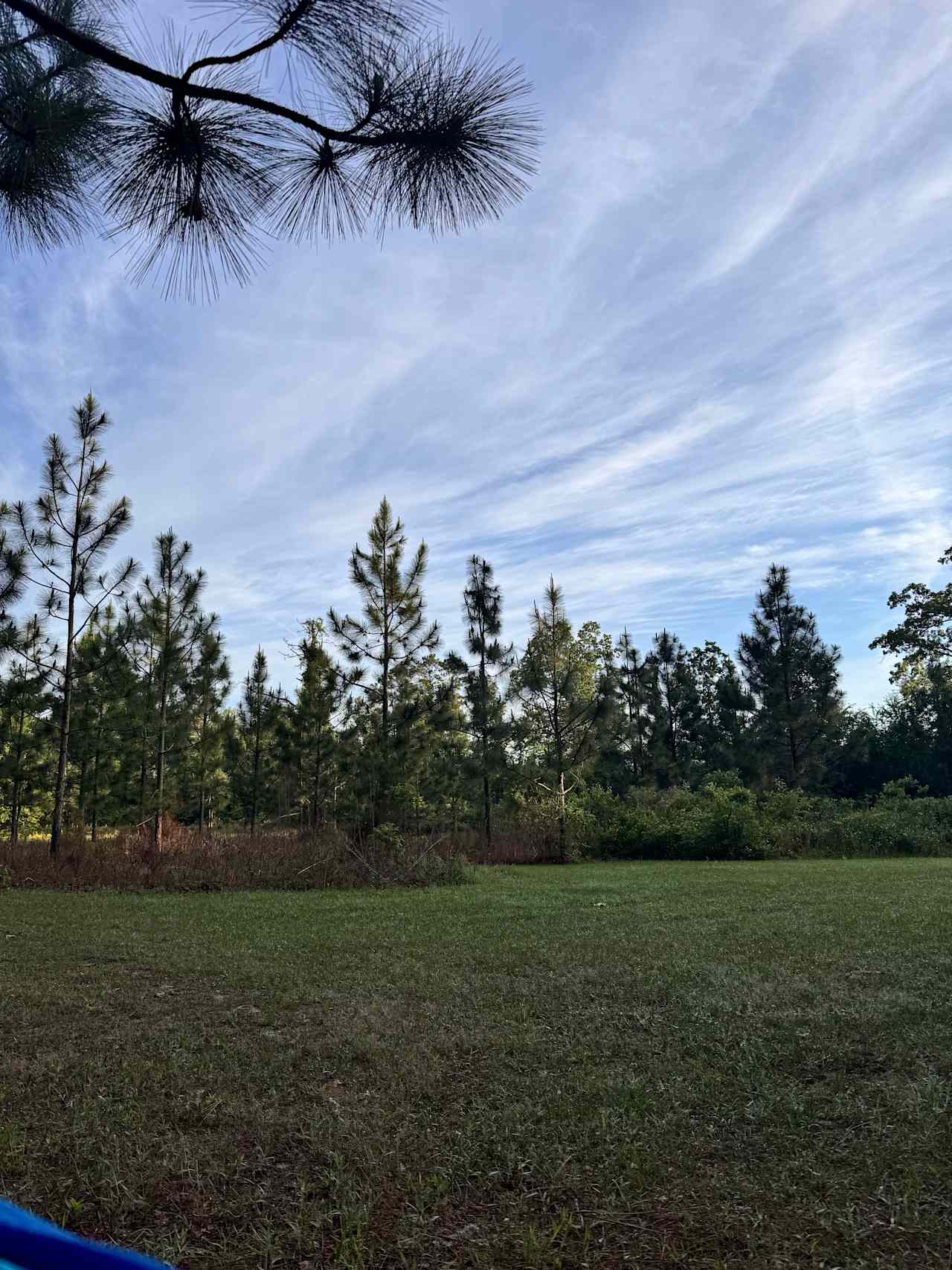 Dennis & Melissa's Hidden Creek