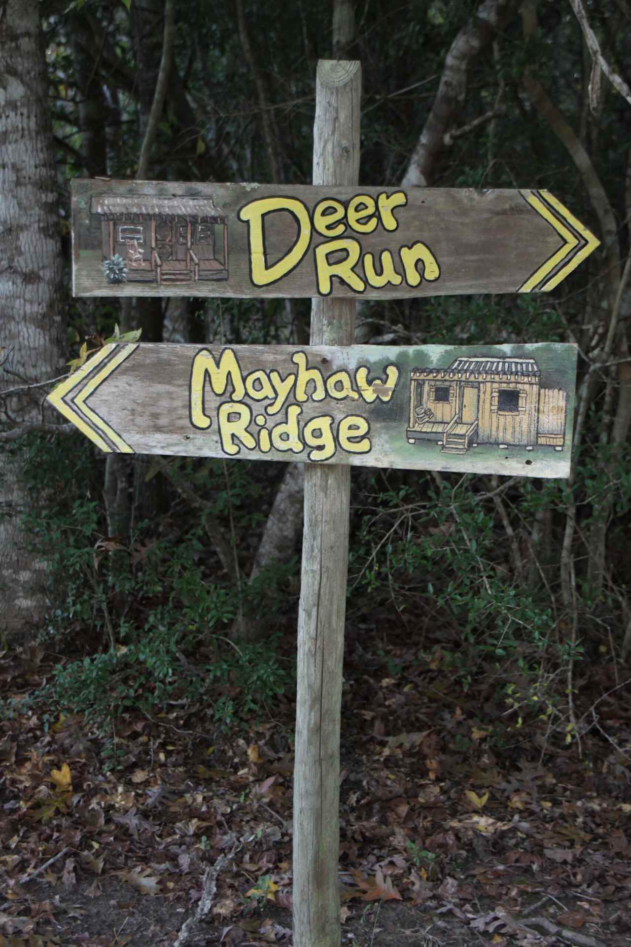 Ethridge Farm, Log Cabin Bed and Breakfast