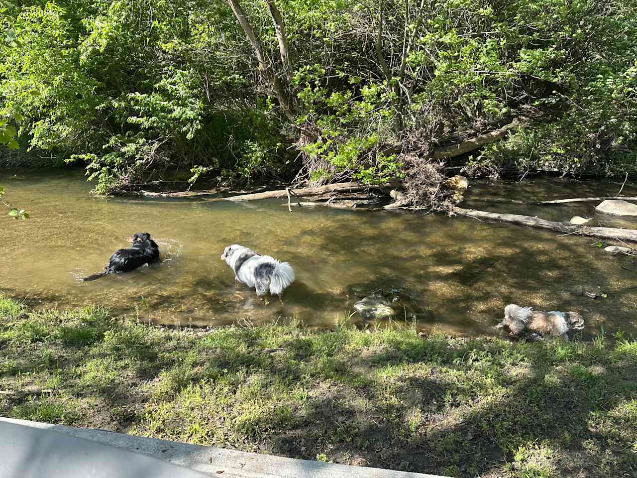 Camp Rocky Run