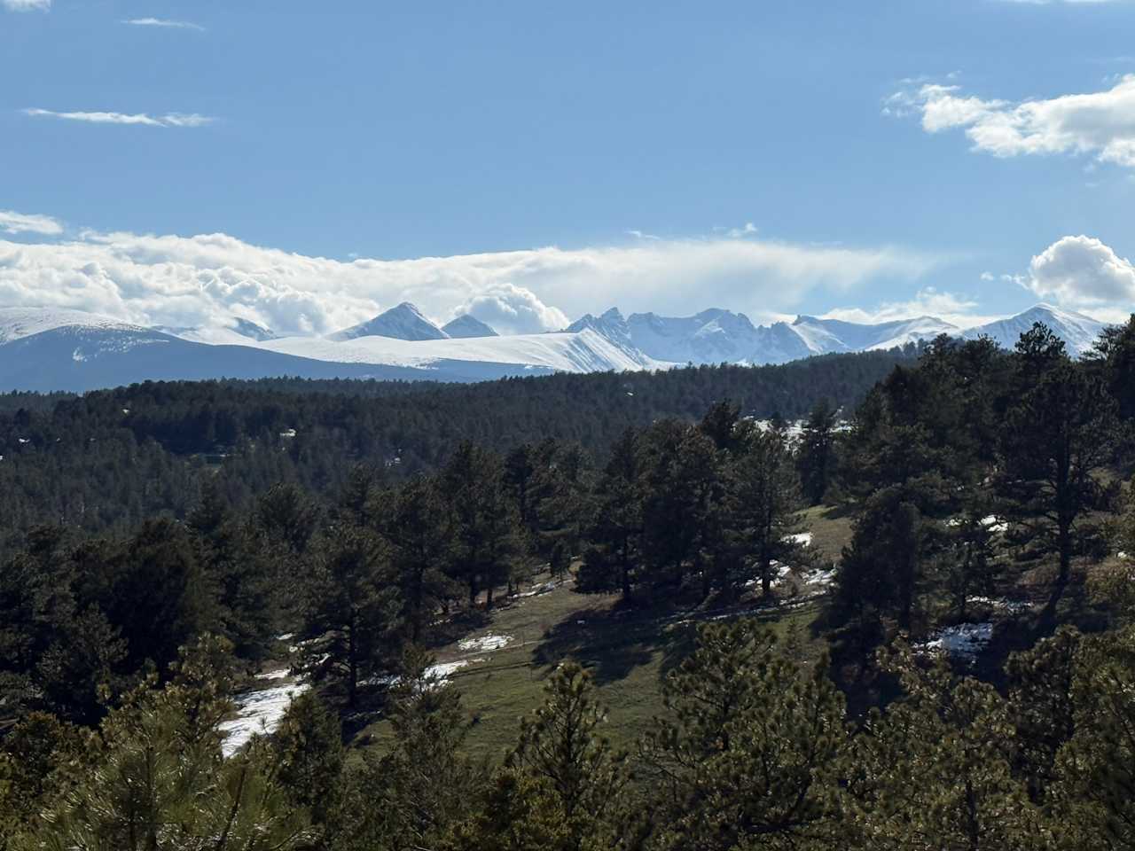 The Bluebear at Y Double-K Ranch