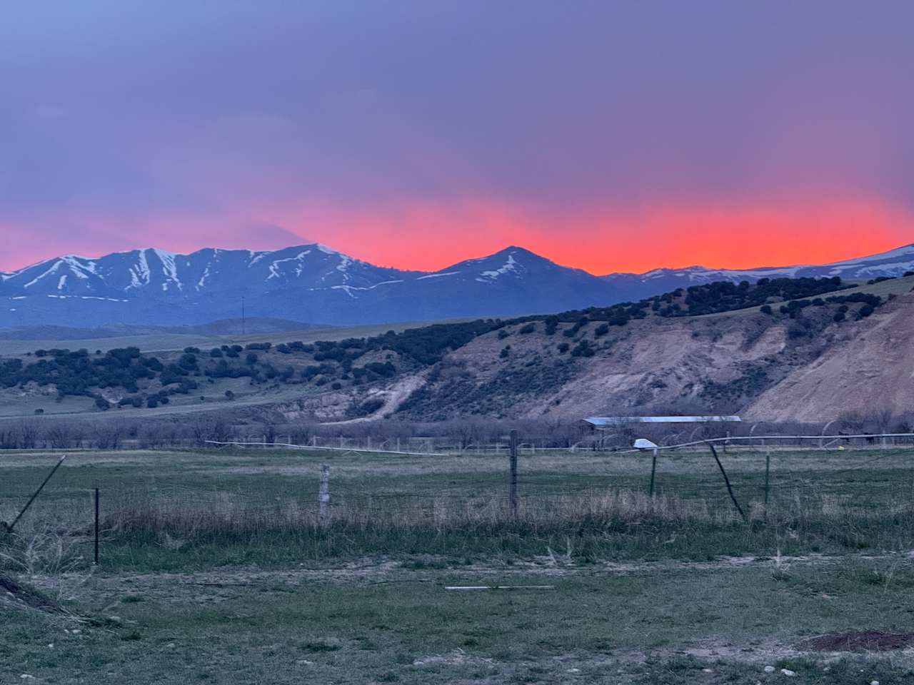 Evening Ranch