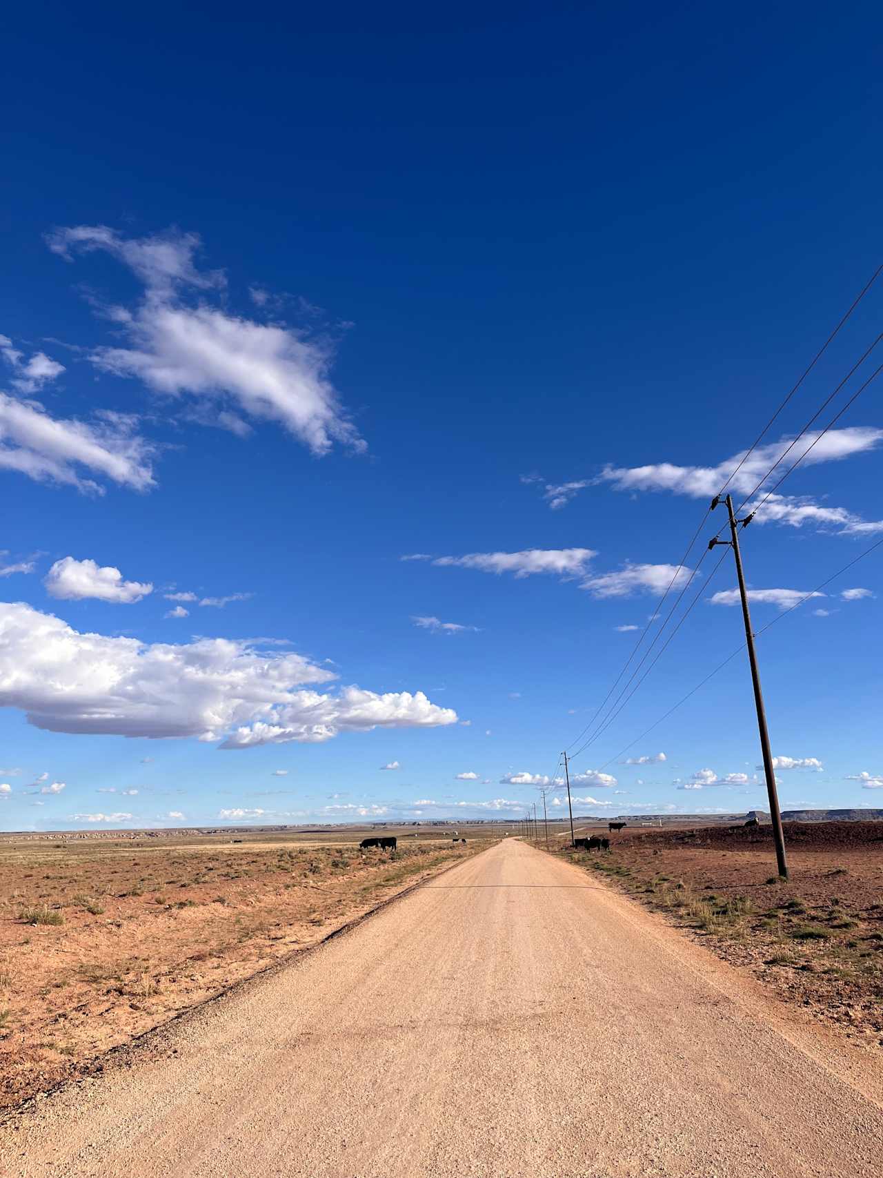 Petrified Forest National Park Camp