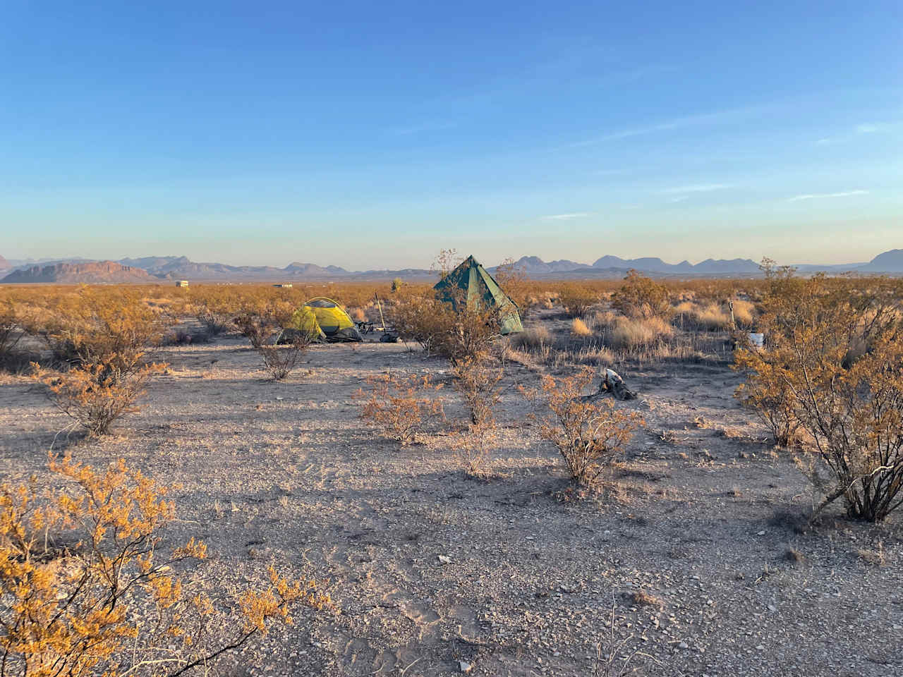 A view of tents set up at one of the established campsites on the property. 