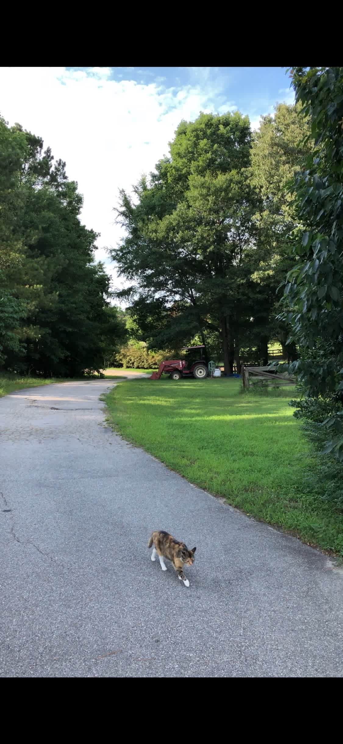 River Farm on the Neuse River Trail