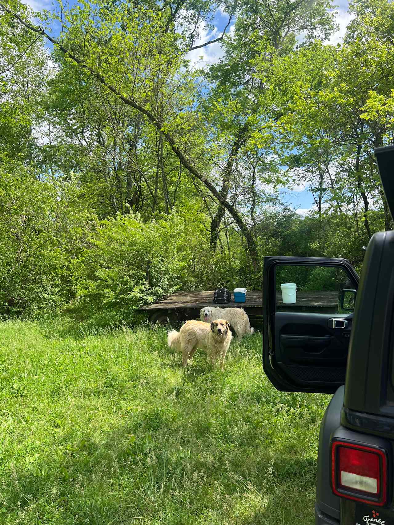 Chatty Heifer Farm