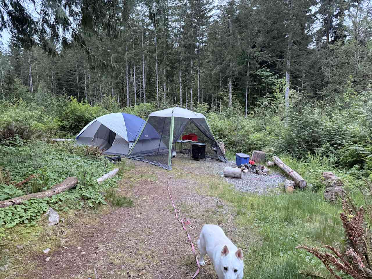 Remember your bug spray. We were happy we packed our netted camp kitchen.