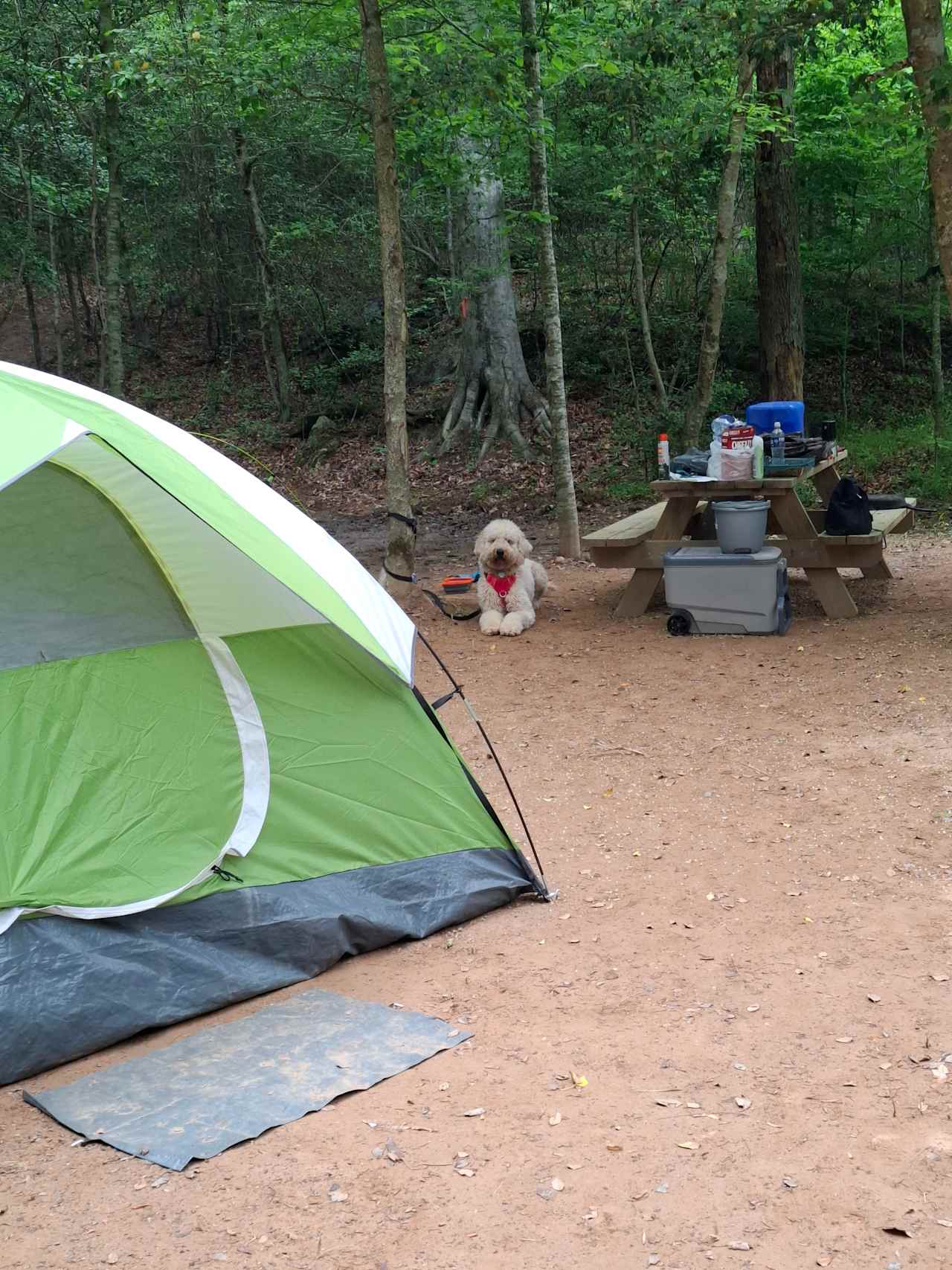 Carl’s Campsites - Riverside