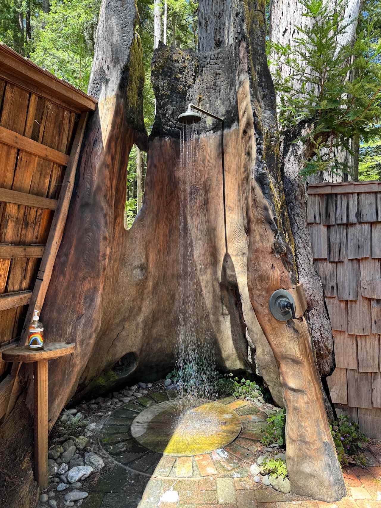 Heartwood Mendocino