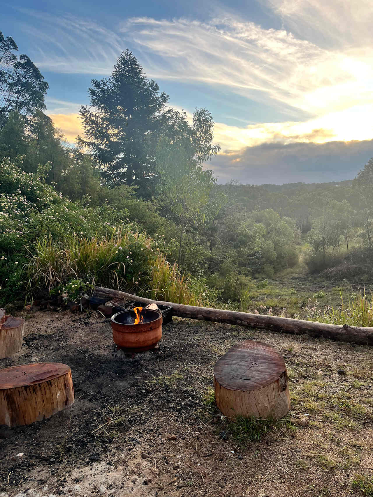 Hilltop Farm, Camping and Glamping.