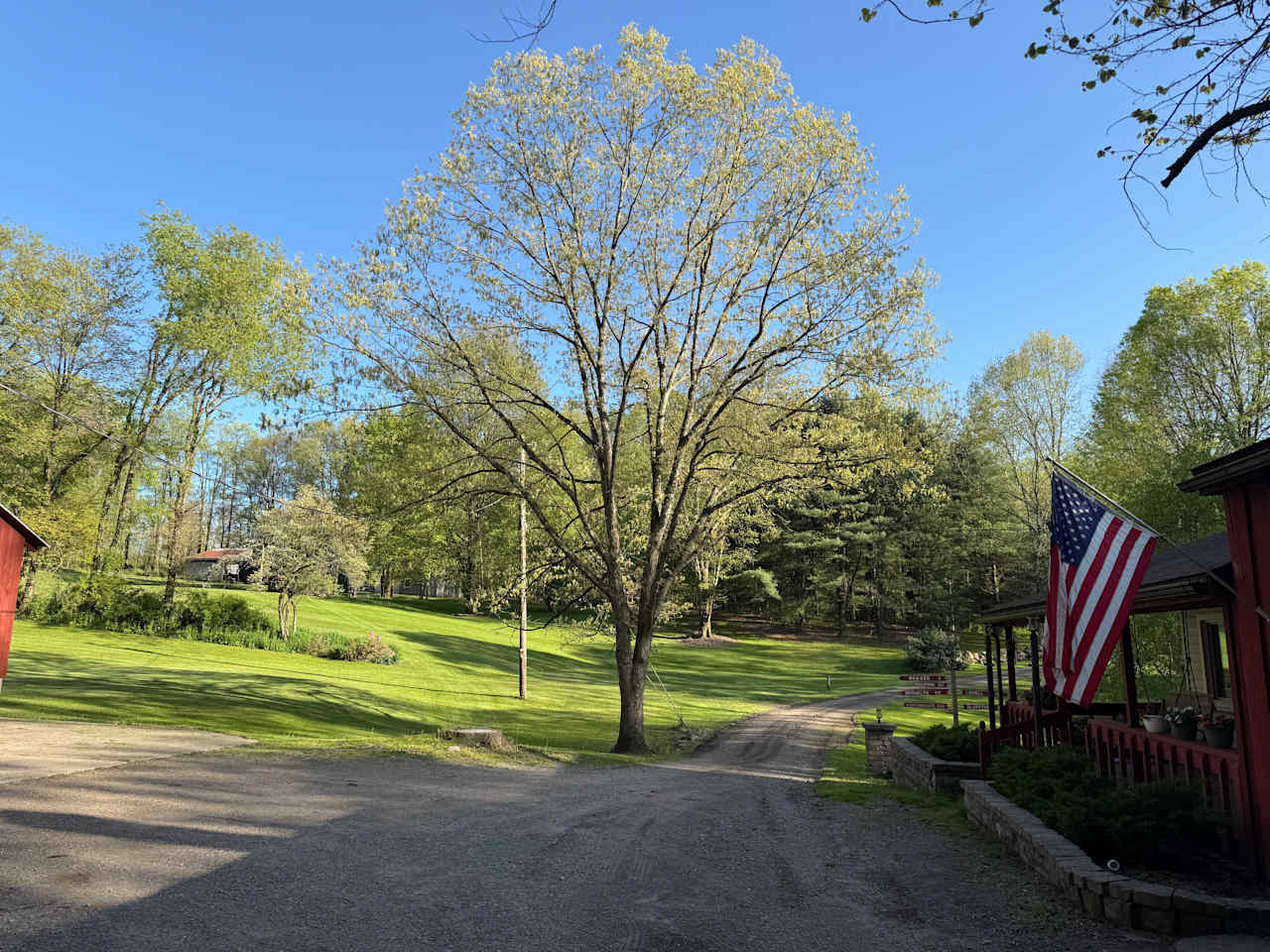 Bill S. and Nancy's property