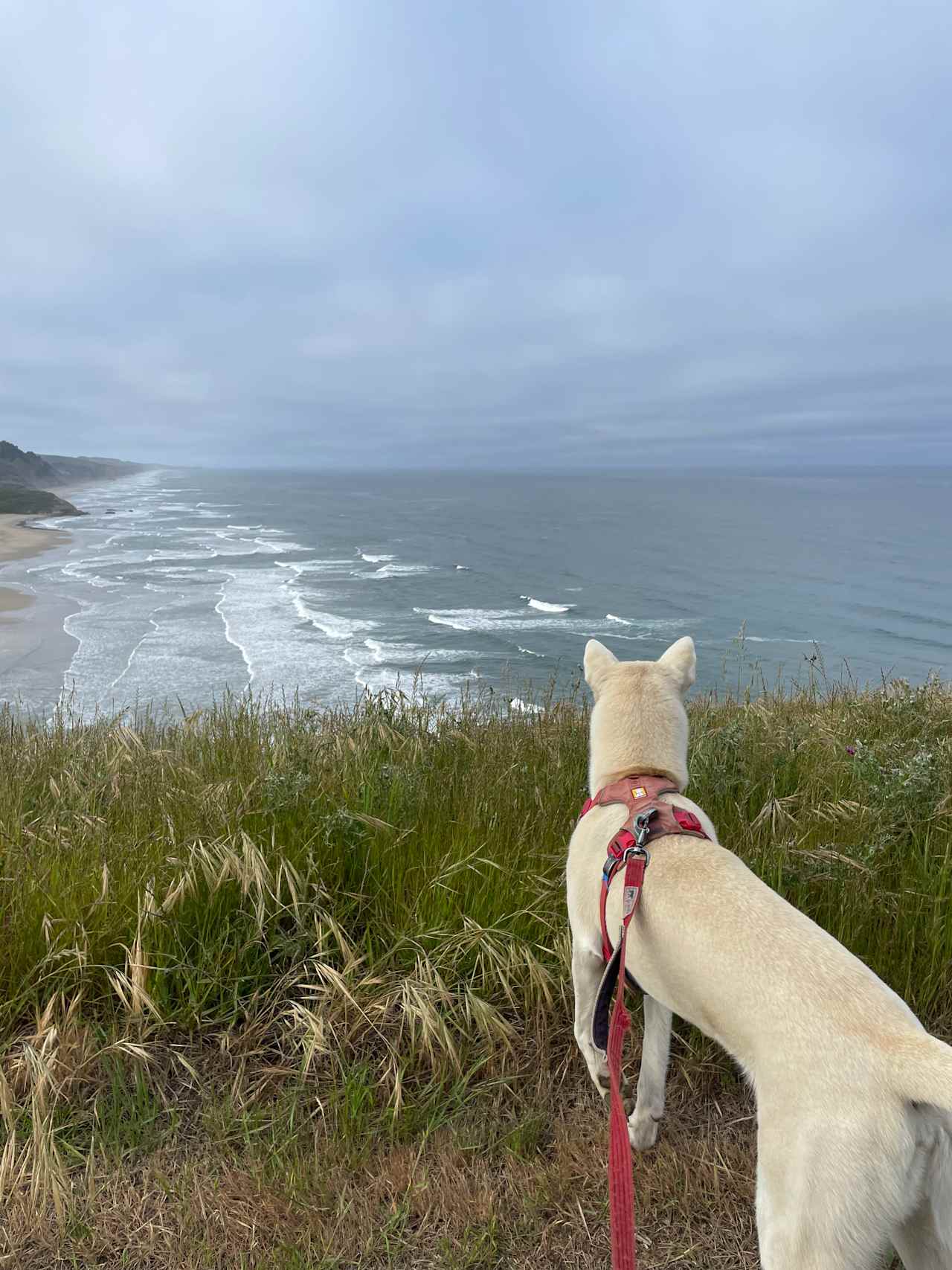 Tunitas Beach Overlook - Airstream