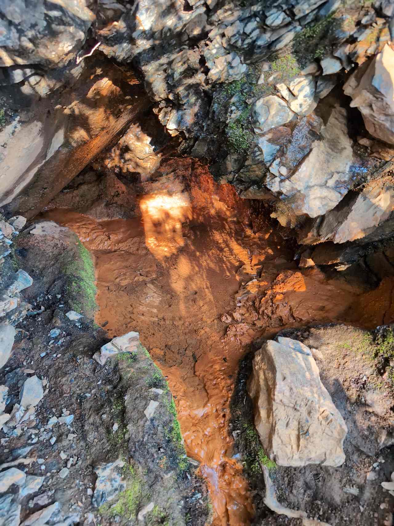 Brunswick Ridge, Trinity Mountain