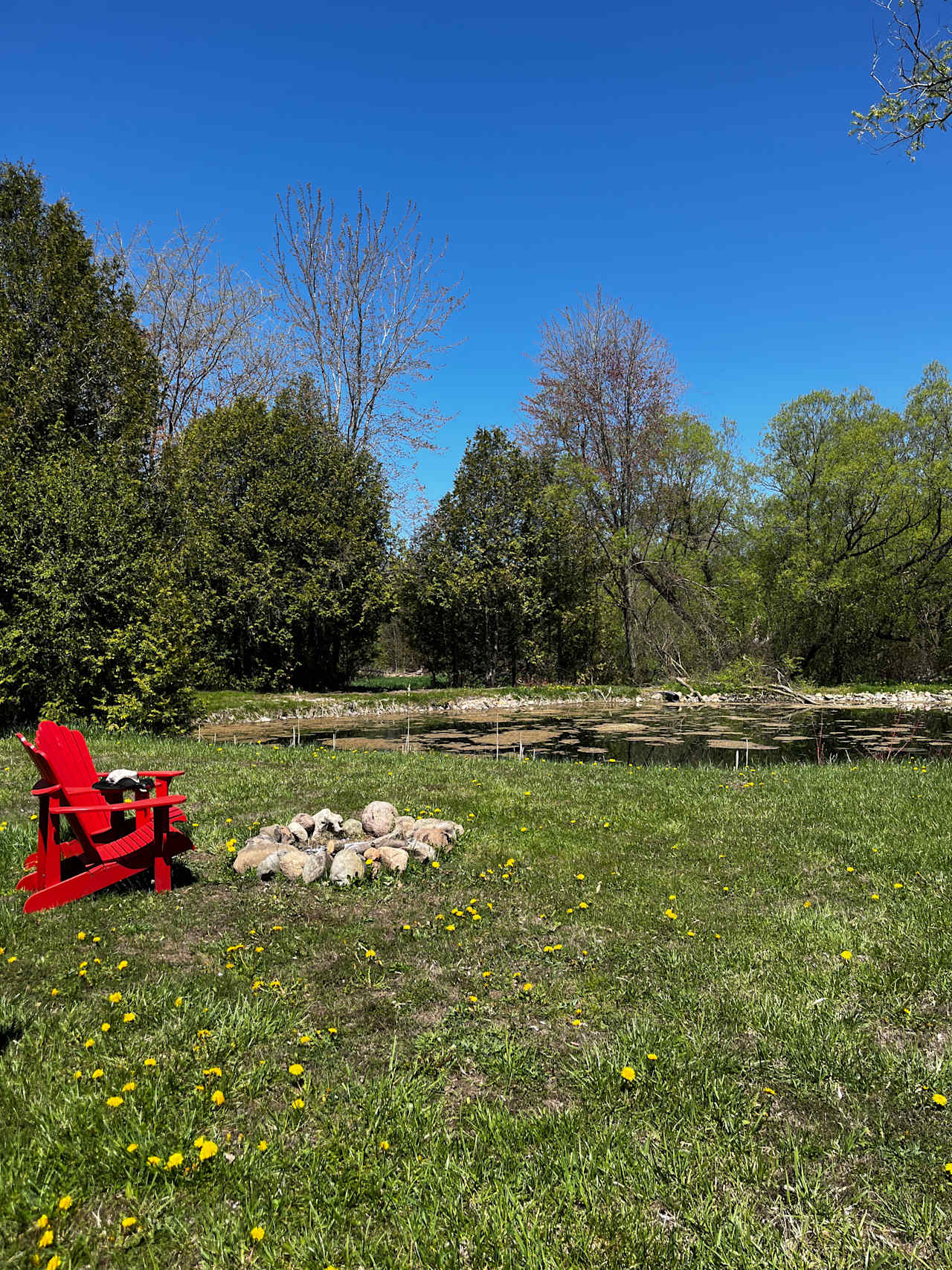 Hidden Oasis Near Elora