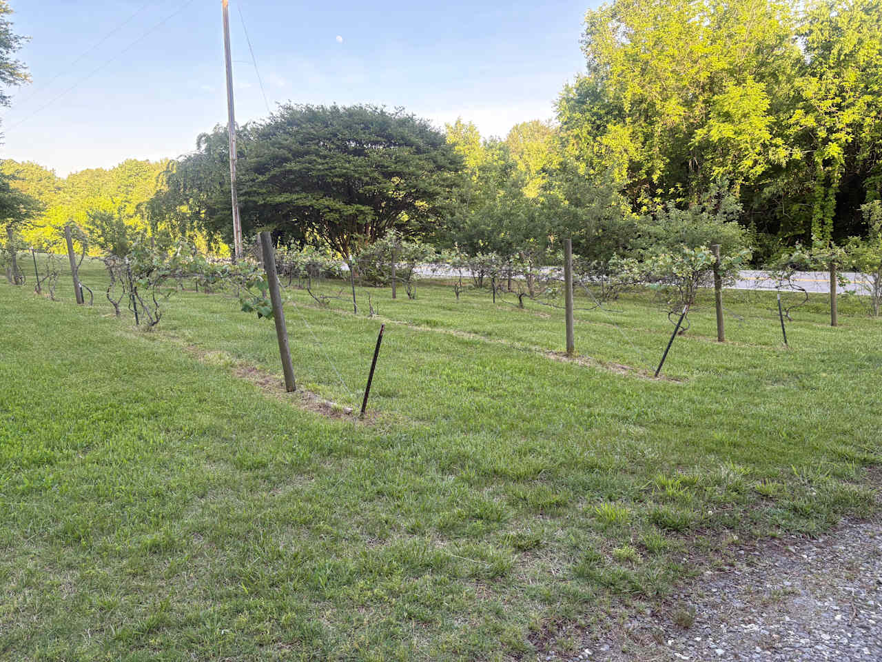 Eden Oaks Vineyard & Campground