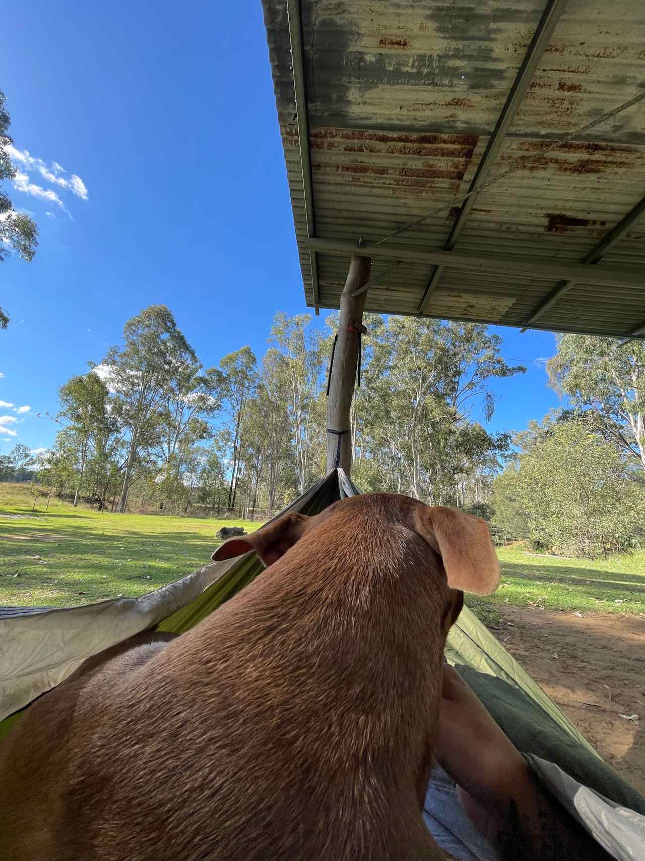 Sandy Creek Camping