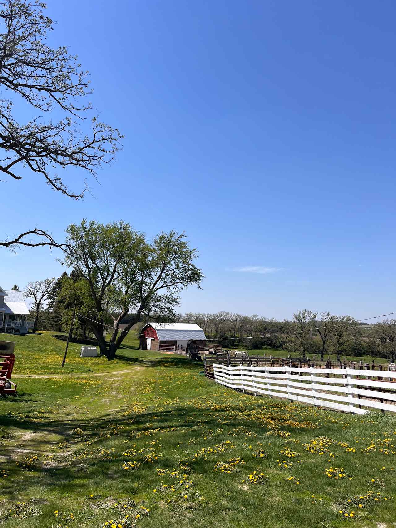Valley Angus Farm